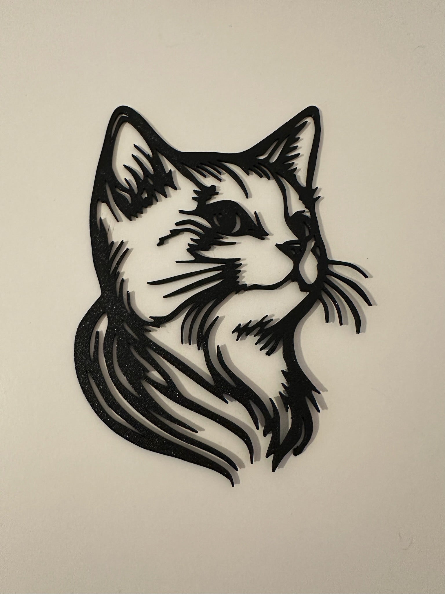 Tête de chat